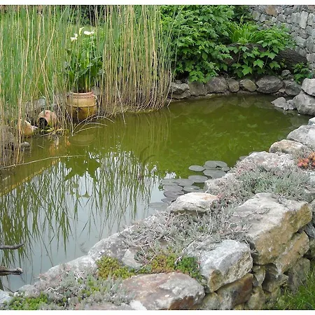 Bed & Breakfast Tre Foglie Di Pesco Rivoli (Turin)