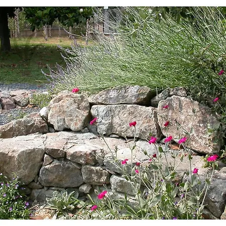 Bed & Breakfast Tre Foglie Di Pesco *